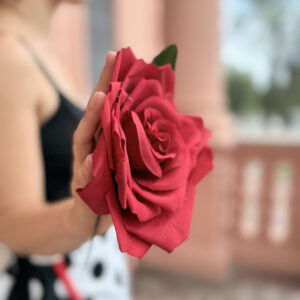 Rosa XL Roja