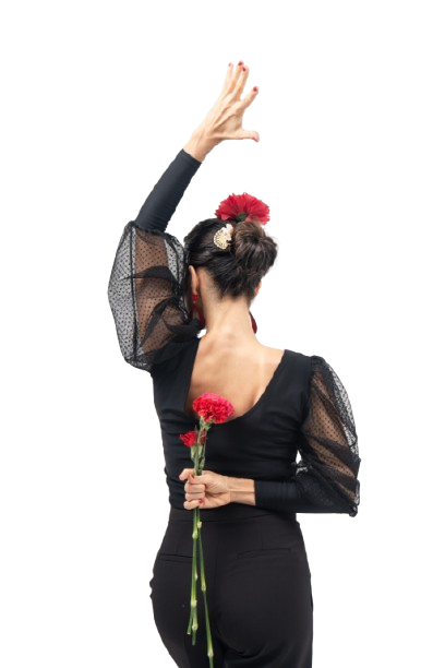 Formacion-flamenca-up