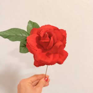 Rosa