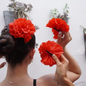 Clavel con pinza
