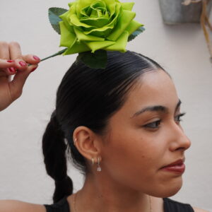 Rosa mediana - Verde Manzana