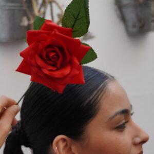 Rosa mediana - Rojo