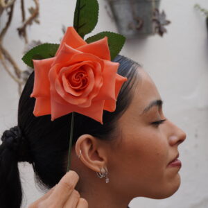 Rosa mediana - Salmon en picos