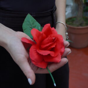 Rosa mediana - Rojo Economica