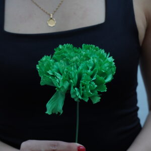 Clavel grande - Verde