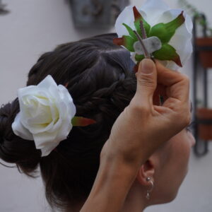 Rosa pequeña con pinza
