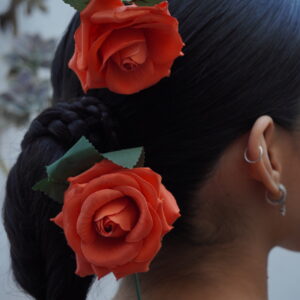 Rosa pequeña- Salmon