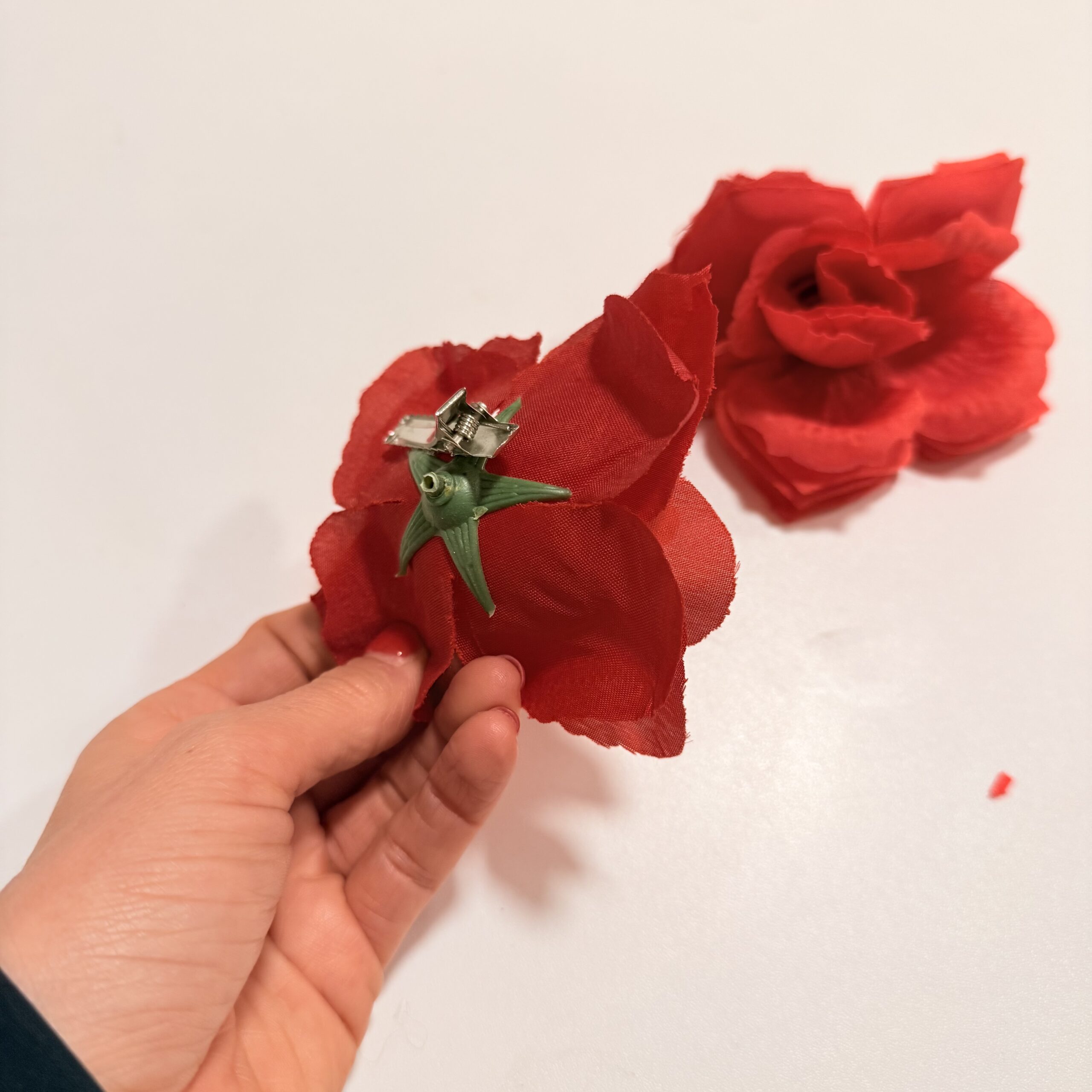 Flor Económica - Imagen 2