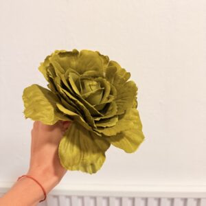 Rosa mediana - Verde Oliva