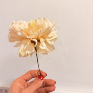 Clavel pequeño