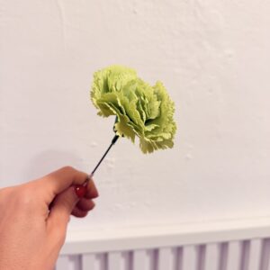 Clavel pequeño
