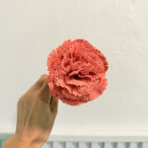 Clavel pequeño