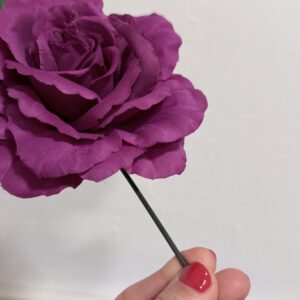 Rosa mediana - Magenta