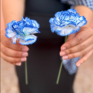 Clavel pequeño
